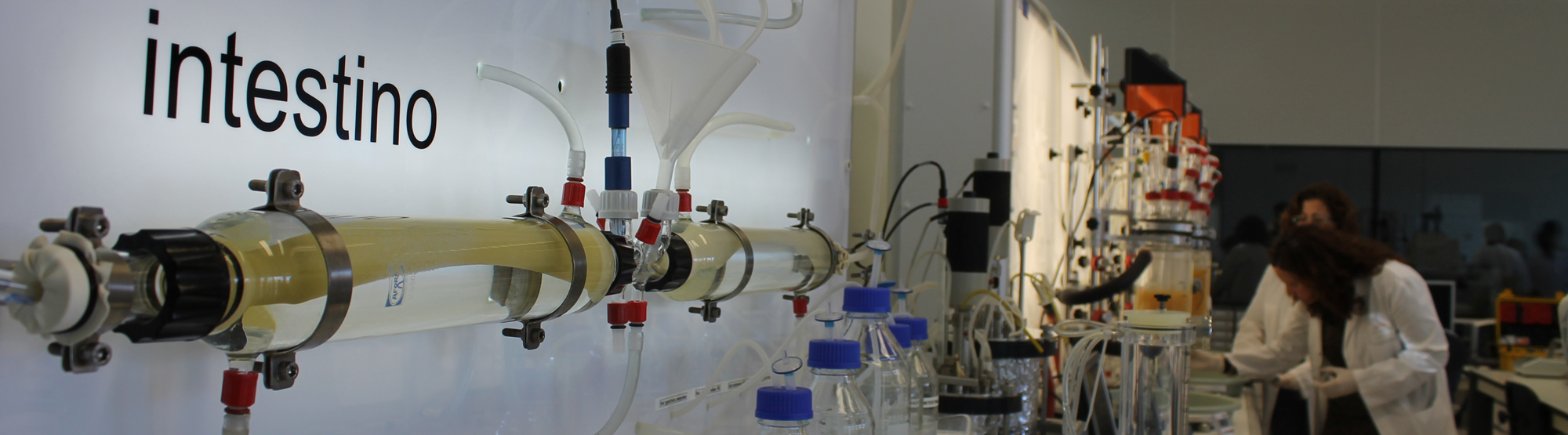 digestor-in-vitro digestor-in-vitro