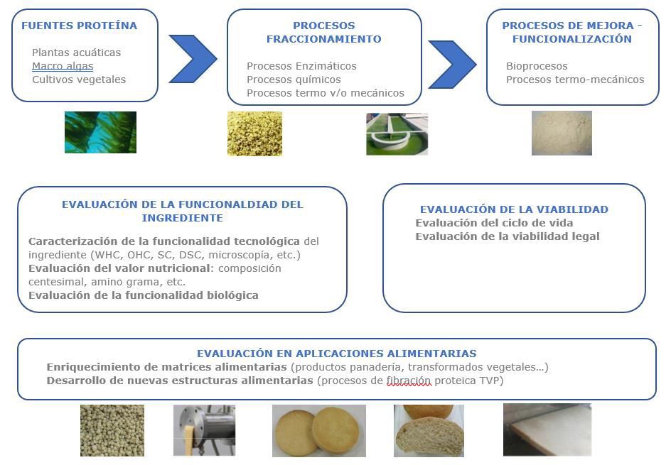 proyecto proalt proyecto proalt