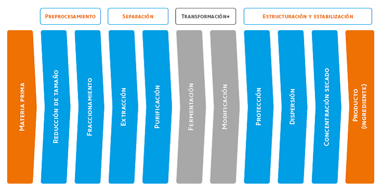 proyecto proalt proyecto proalt