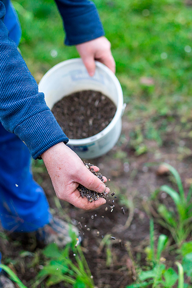 Bloque-2_Biofertilizantes_biopesticidas Biofertilizantes