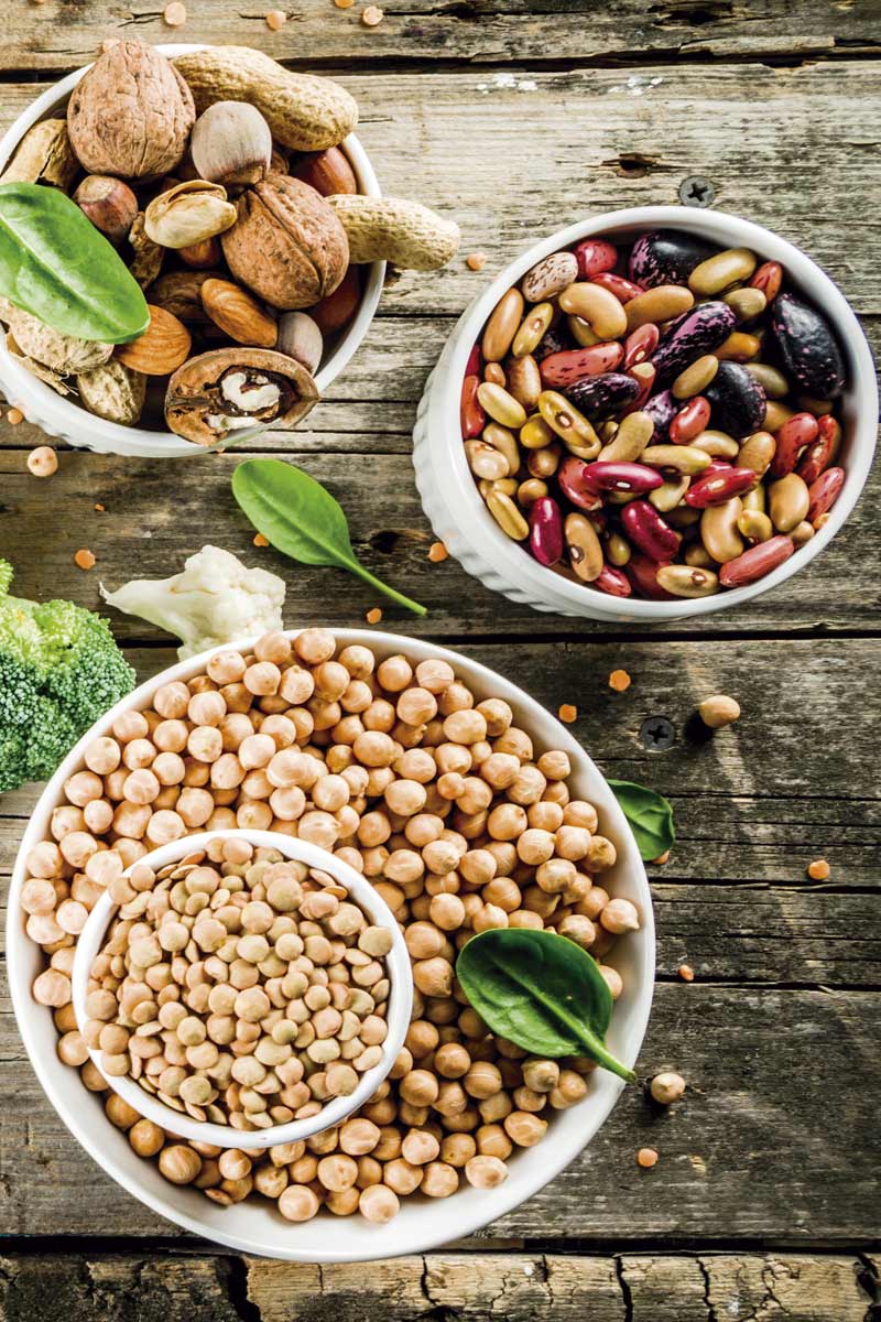 Bloque-2_Plant_Based_Foods Plant Based Foods