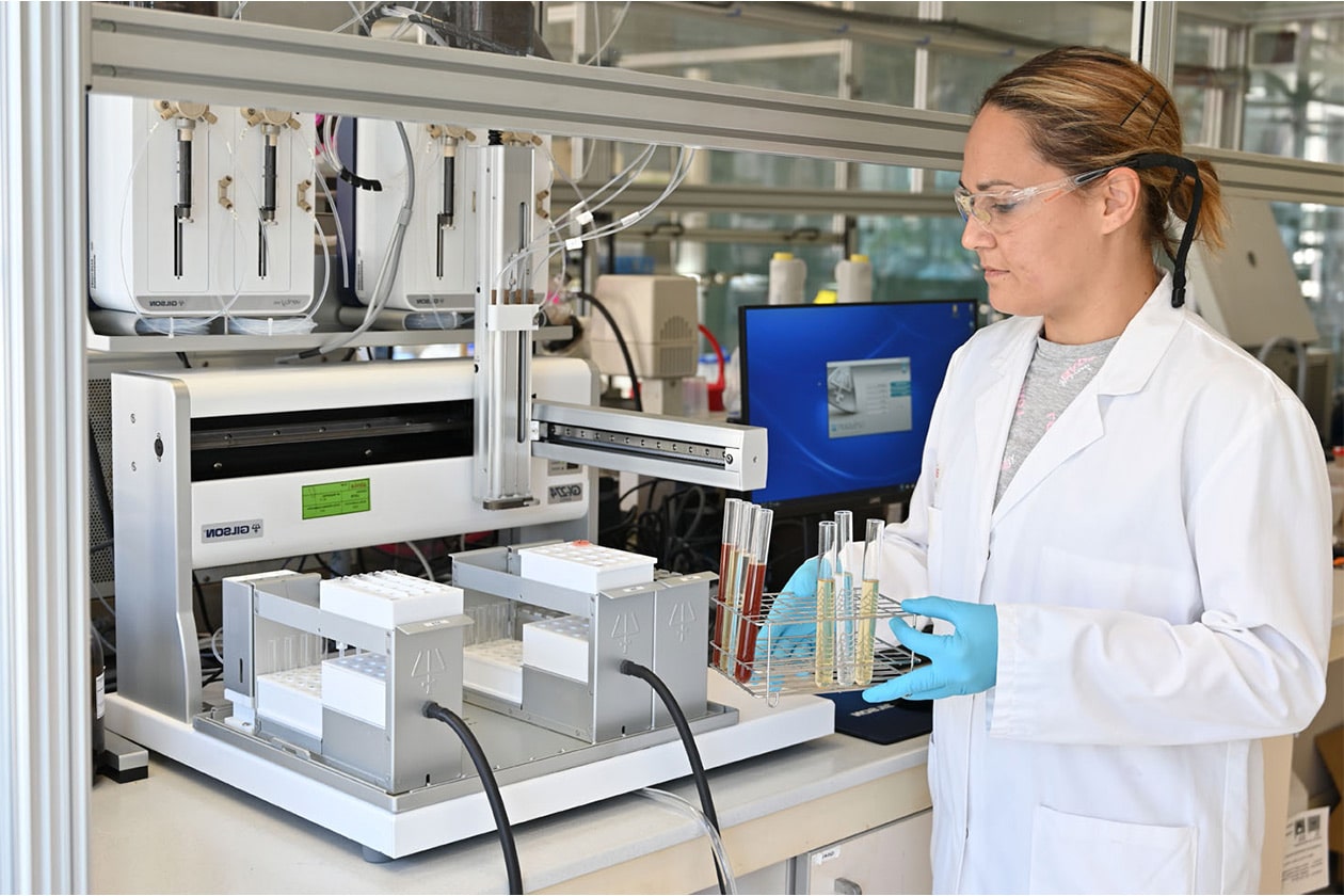 Caracterización química