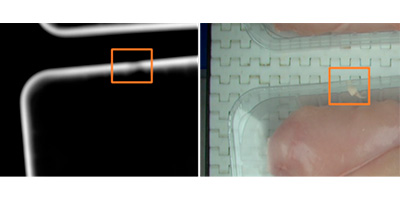 termoseal 1 Fallos Termoseal