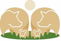 LOGO-PORGAPORCS-SOL-new Porgaporcs
