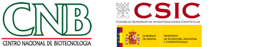 logocnb Logo CNB