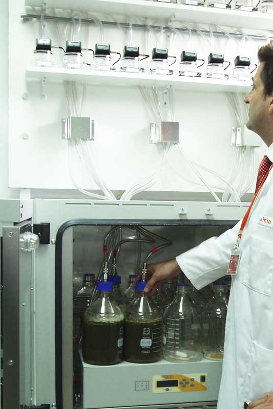 biogás con técnico biogás con técnico