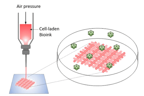 Bioimpresión 3D