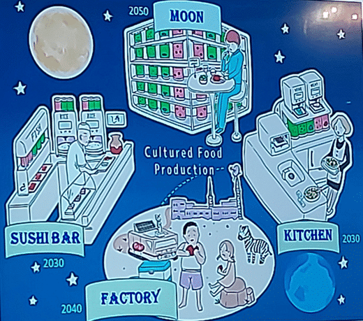 perspectivas futuras sobre uso carne cultivada