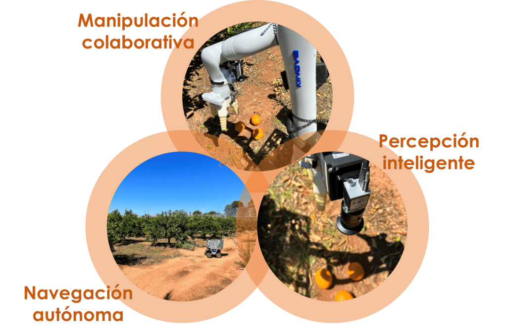 navegación autónoma robótica colaborativa