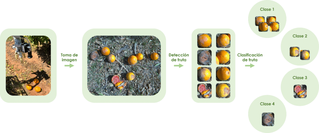 algoritmos IA fruta caída