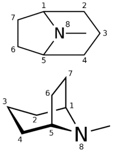 estructura química del propani