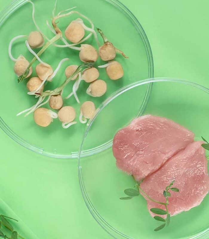 proteínas alternativas, alérgenos, contaminantes residuos