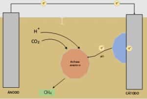 Combinación electrometanogénesis y ruta metabólica DIET