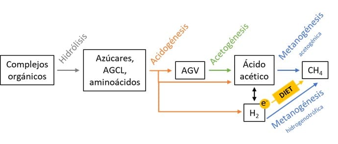 Ruta DIET en el proceso de digestión anaerobia