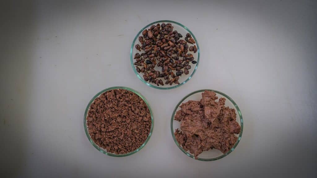 oleosomas