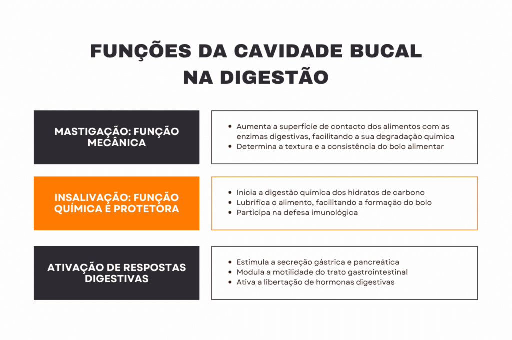 Infografia que apresenta as funções da cavidade bucal na digestão.