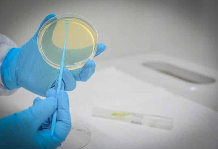 futura ley biotecnologia
